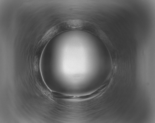 X0000086040170200703231250