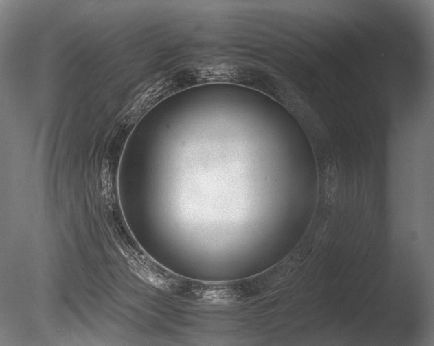 X0000086040173200703231250