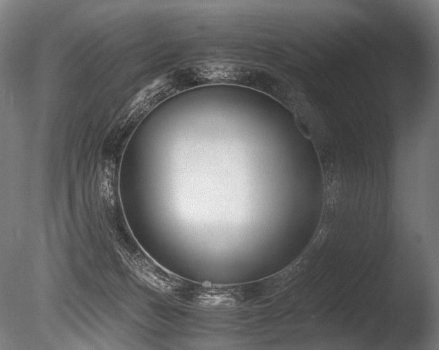 X0000086040175200703231250