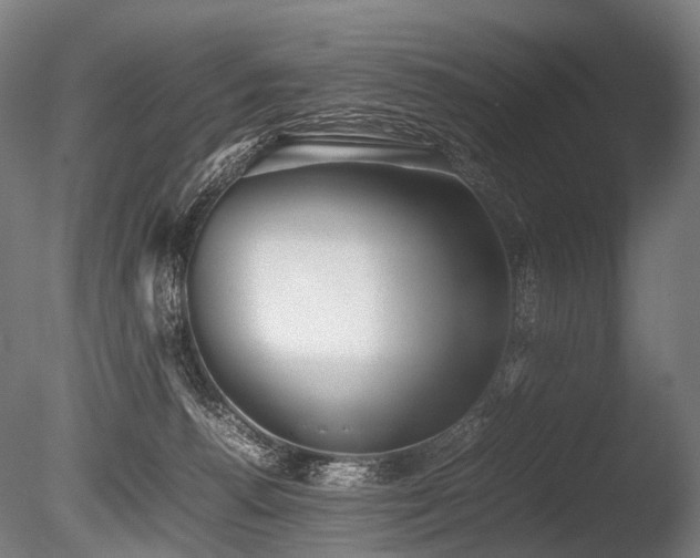 X0000086040176200703231250