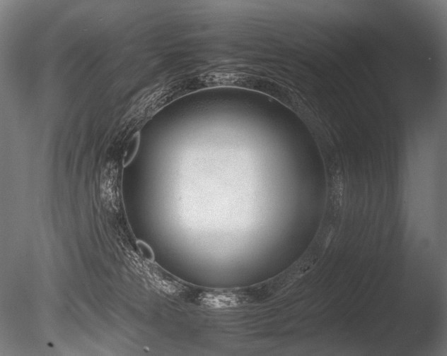 X0000086040181200703231250