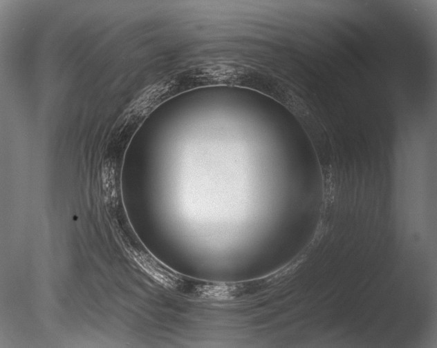 X0000086040182200703231250