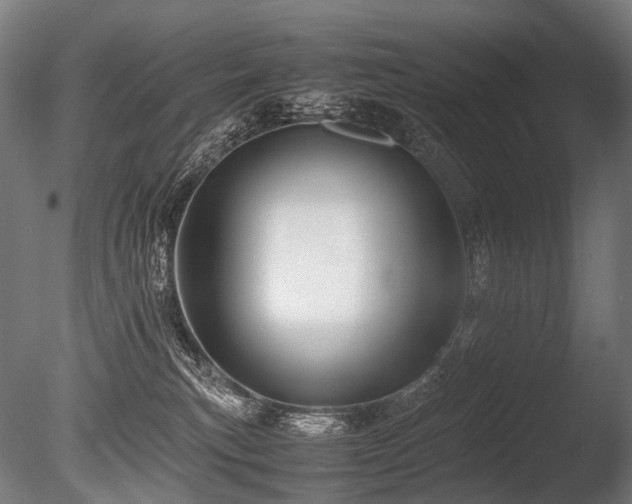 X0000086040183200703231250
