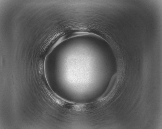 X0000086040192200703231250