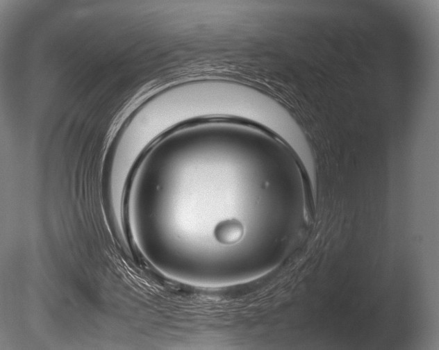 X0000086040195200703231249