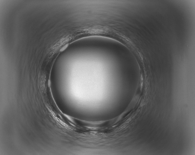 X0000086040201200703231249