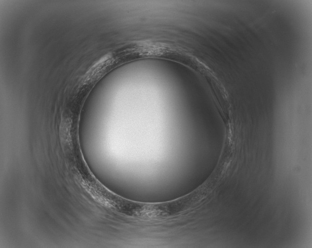 X0000086040209200703231249