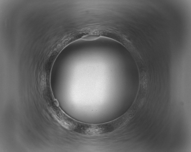 X0000086040213200703231249