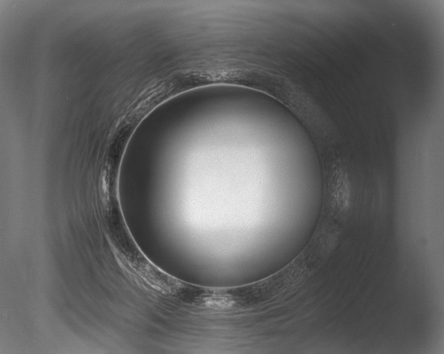 X0000086040214200703231249