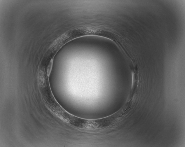 X0000086040215200703231249