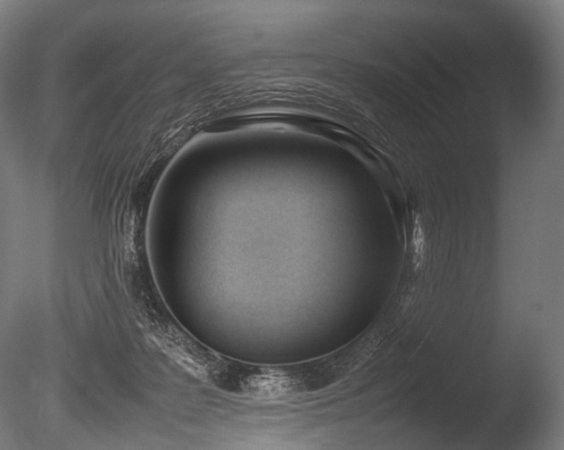 X0000086040219200703231249