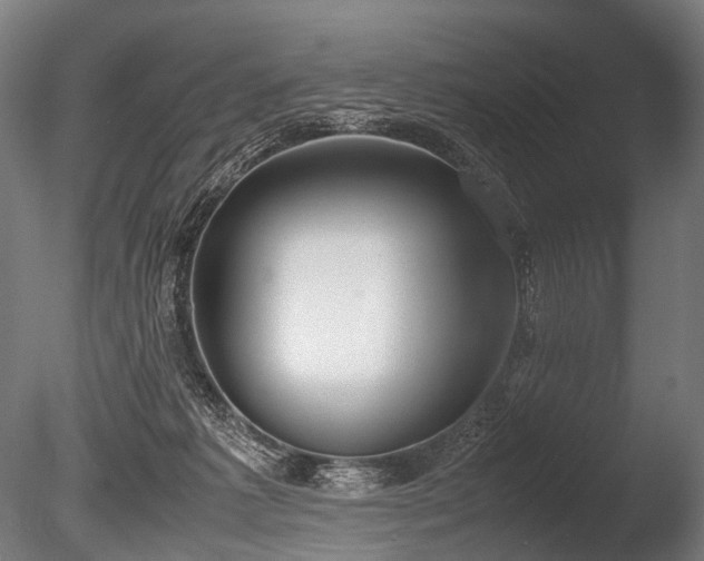 X0000086040221200703231249