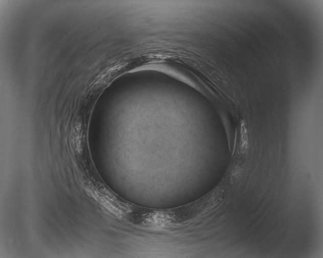 X0000086040223200703231249