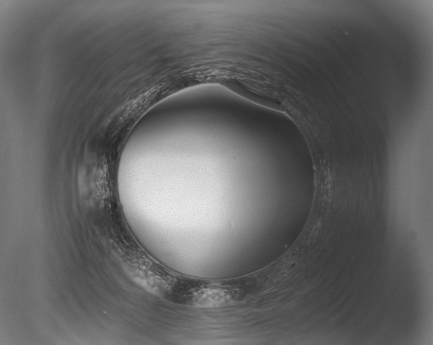 X0000086040224200703231249