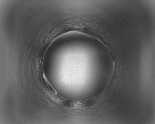 X0000086040229200703231249