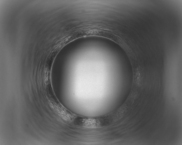 X0000086040230200703231249