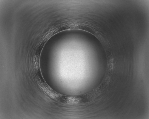 X0000086040234200703231249