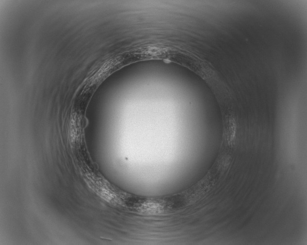X0000086040236200703231249