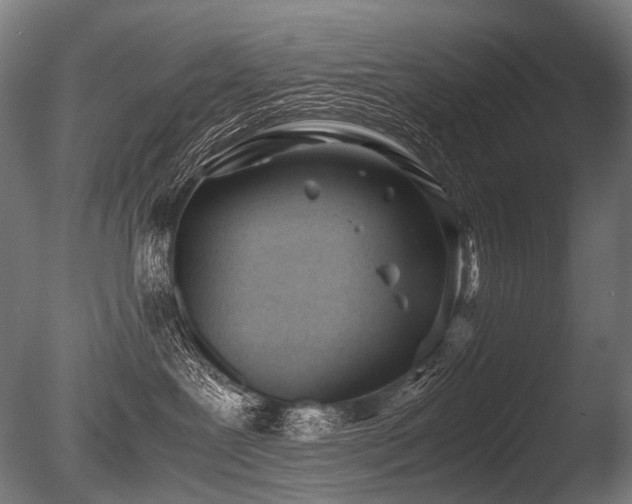 X0000086040239200703231249
