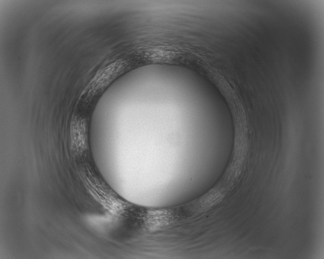 X0000086040240200703231249