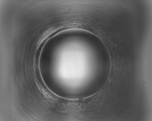 X0000086040242200703231248