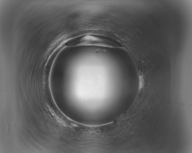 X0000086040243200703231248