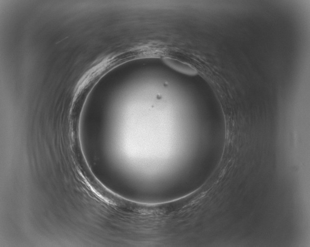 X0000086040245200703231248