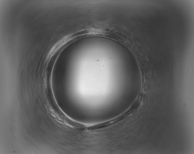 X0000086040247200703231248