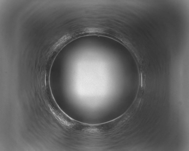 X0000086040253200703231248