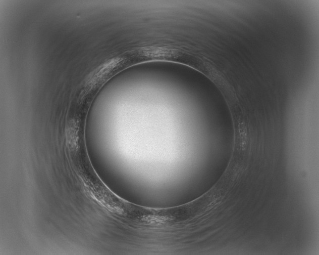 X0000086040255200703231248