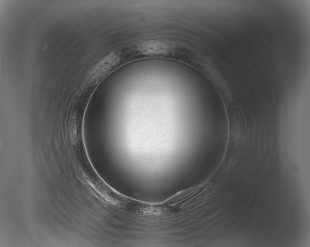 X0000086040261200703231248