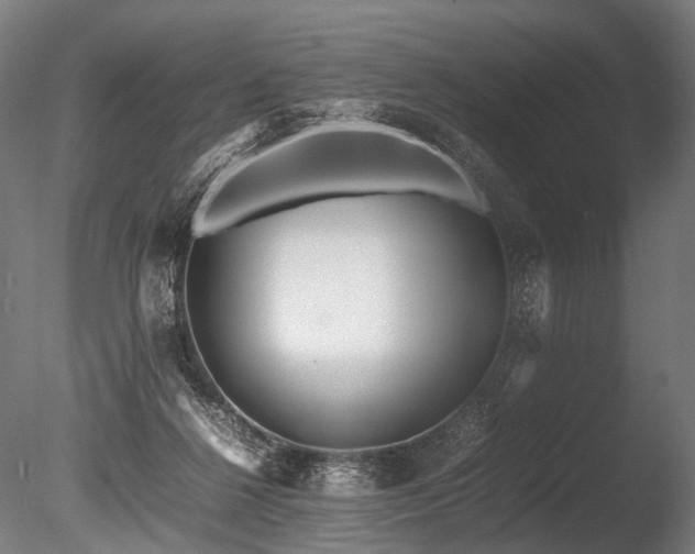 X0000086040264200703231248