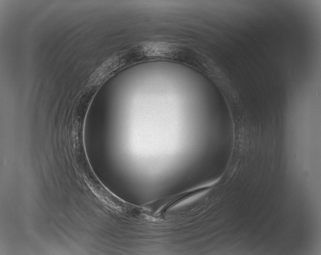 X0000086040265200703231248