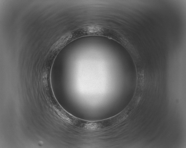 X0000086040269200703231248