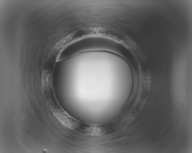 X0000086040276200703231248