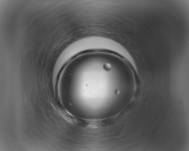 X0000086040280200703231248