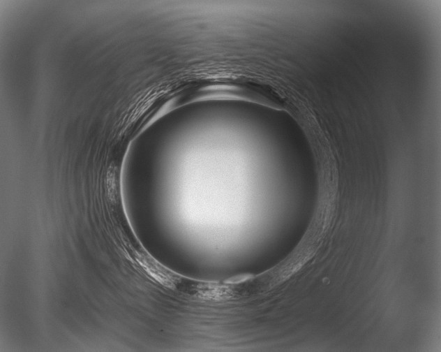 X0000086040288200703231249