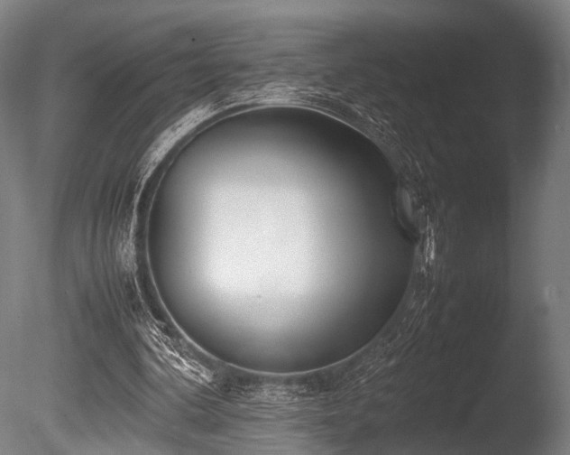 X0000086040292200703231248