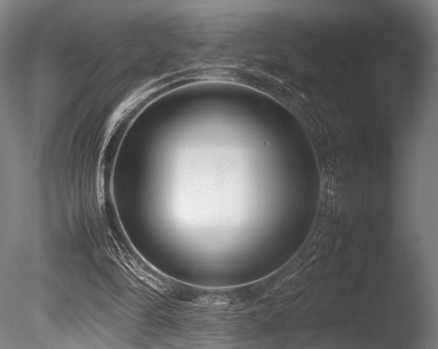 X0000086040294200703231248