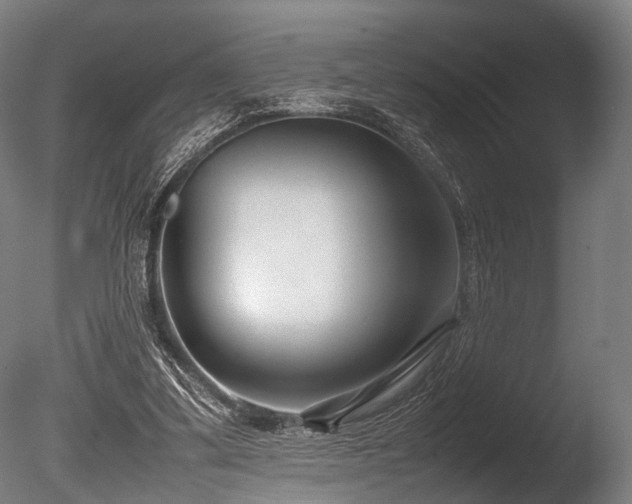 X0000086040299200703231248