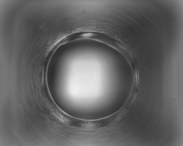 X0000086040301200703231248