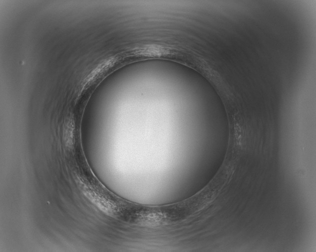 X0000086040304200703231248