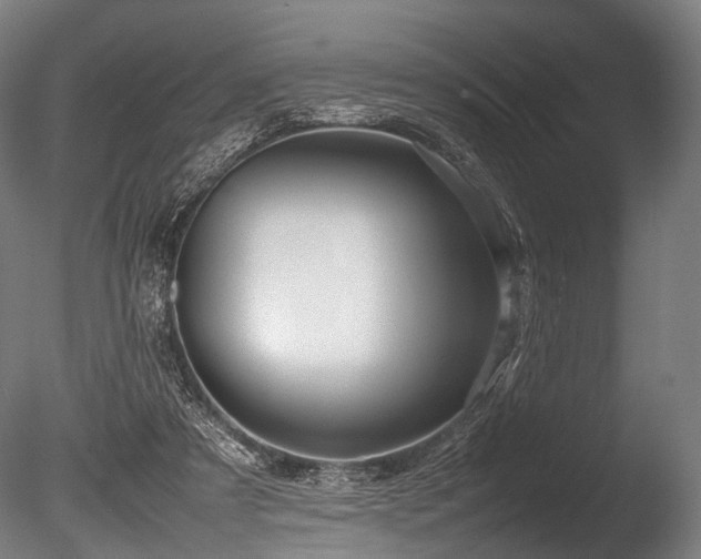 X0000086040305200703231248