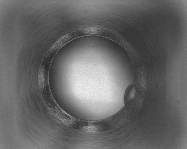 X0000086040312200703231247