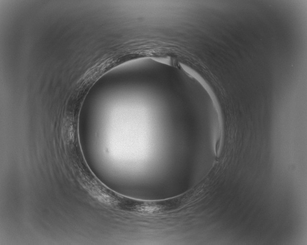 X0000086040313200703231247