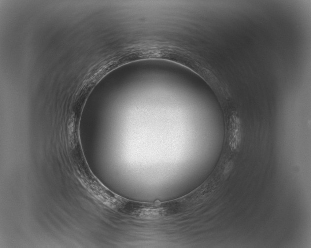 X0000086040314200703231247