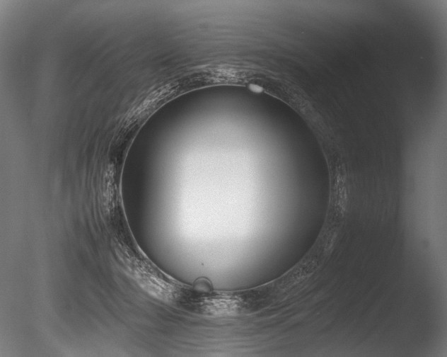 X0000086040318200703231247