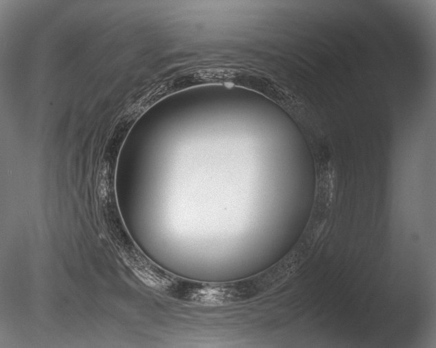 X0000086040323200703231247