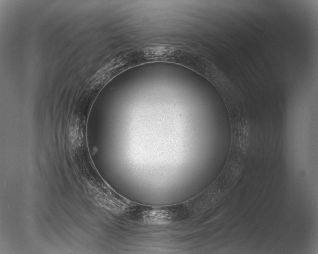 X0000086040324200703231247