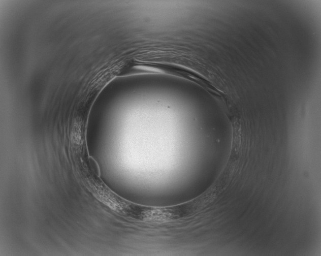 X0000086040331200703231247